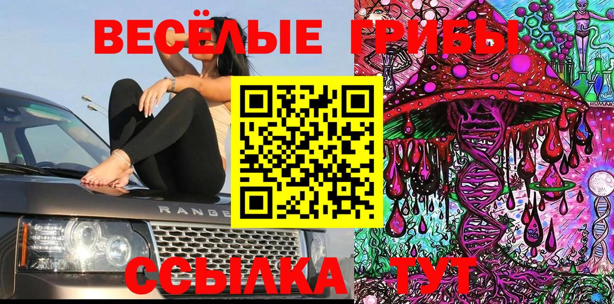 Галлюциногенные грибы Psilocybine cubensis  Псилоцибиновые грибы Psilocybe  наркота  Вход с VPN  Учалы 